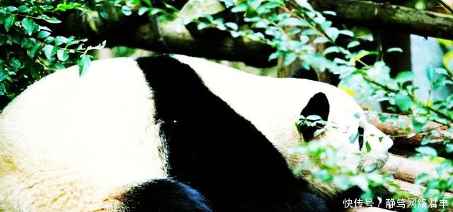 四川最具潜力的城市, 综合实力已超武汉, 有望超越重庆!