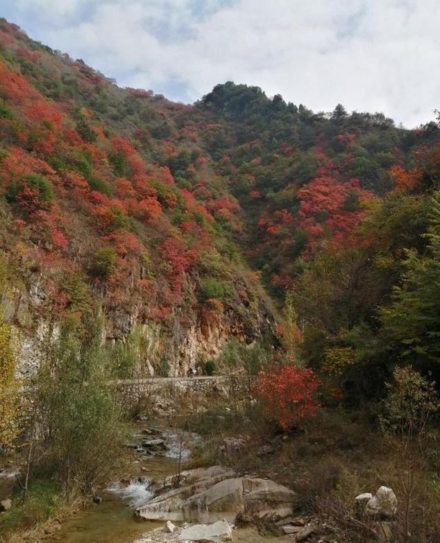 河南这个县有个原始森林无人区 泉水叮咚入丹江