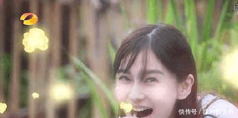 Angelababy“假吃”引起粉丝不满