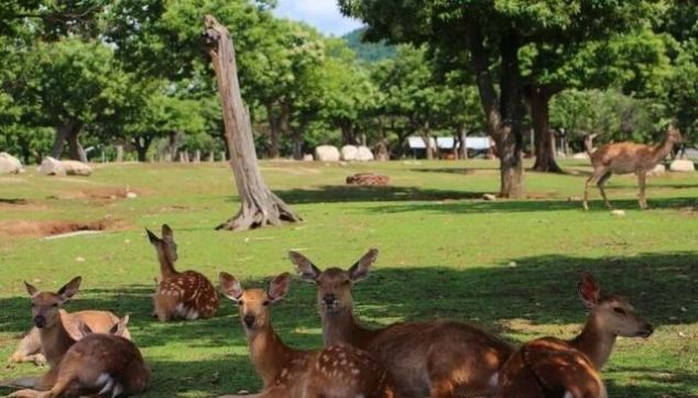 教师节、中秋节、国庆节，这里统统给你安排好了