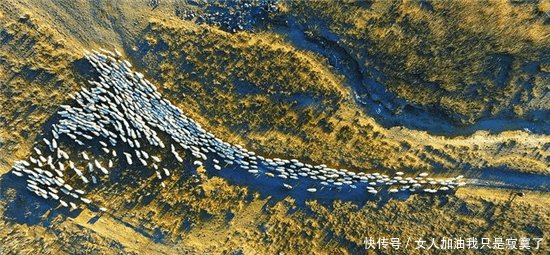  「差距」外蒙古与内蒙古牧民冬季生活的对比, 差距太大