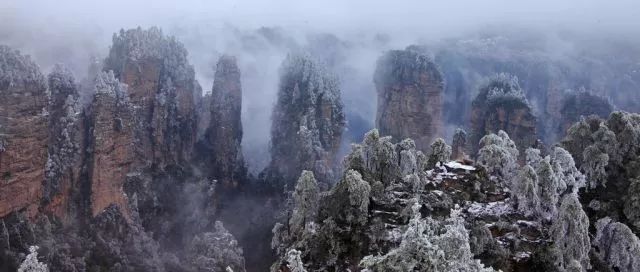 雪后的张家界,银装素裹,如临仙境!