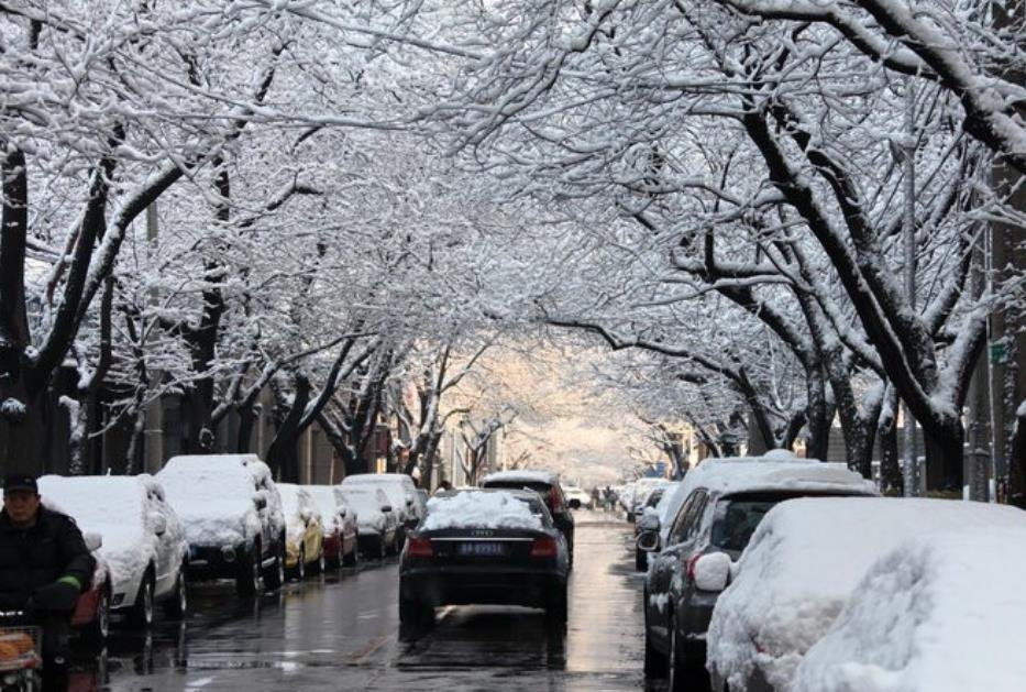 北上广深苏成南暴雨暴雪暴风下冰雹，网友不知哪位道友在渡劫