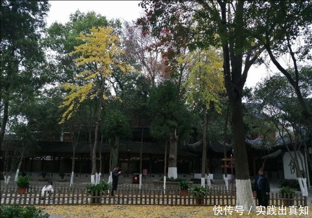 游客们来苏州游玩必去的好地方,你一定不知道?