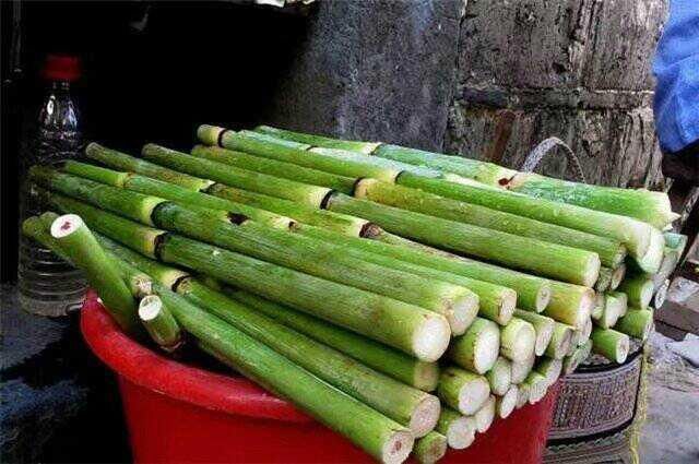 为啥农村夏天一到，人们就时不时往玉米地里钻？能些干什么呢？