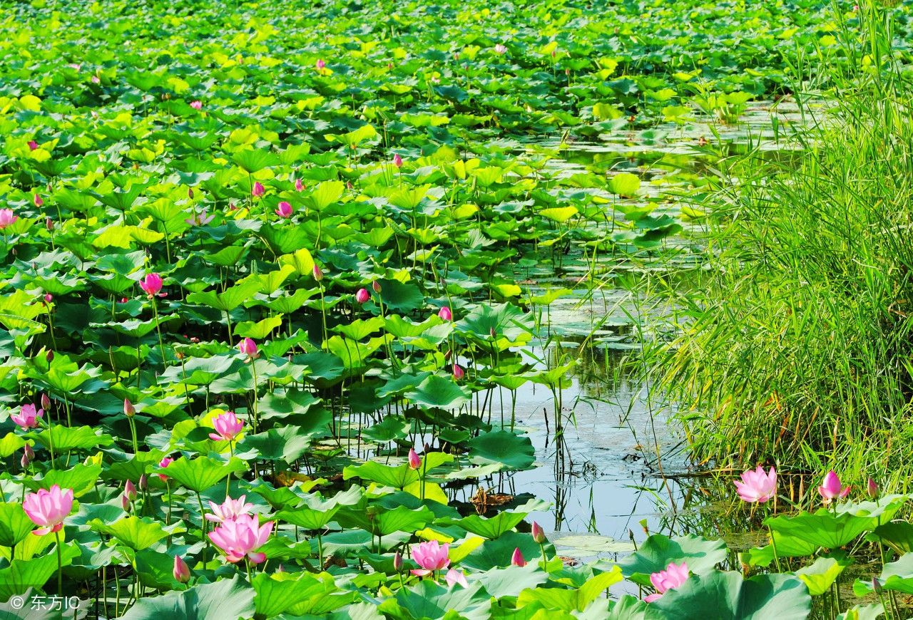 中国最坑的景区，门票180，上个厕所都要排队，网友:花钱找罪受