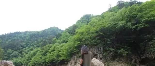 带着养了8年的柯基,她和狗狗一起做了世界上最浪漫的挑战……