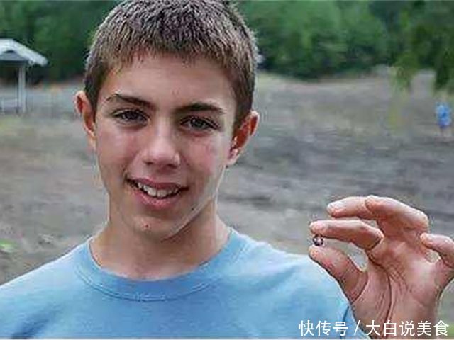 这处公园遍地钻石，游客自带工具来了就是挖！中国网友：留点！