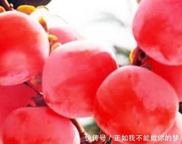  #果子#庭院种此“果树”，插土就能活，果子摘不完，味道甜如蜂蜜