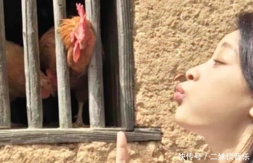 #自由#董子健老婆太调皮,孙怡参观养鸡栏,故意对动物炫耀自己的自由