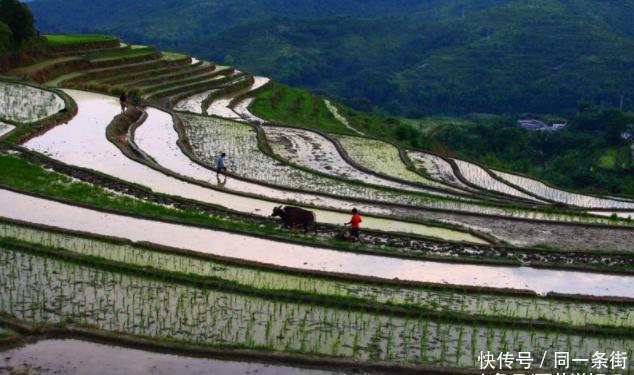 宁波有个绝世“小西藏”,传承最古老的耕作方式,本地人也不知道