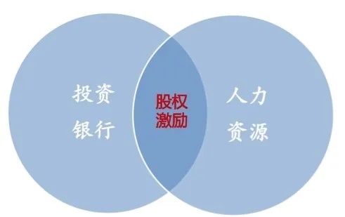  中长期有条件■股权激励做得好，公司人才跑不了