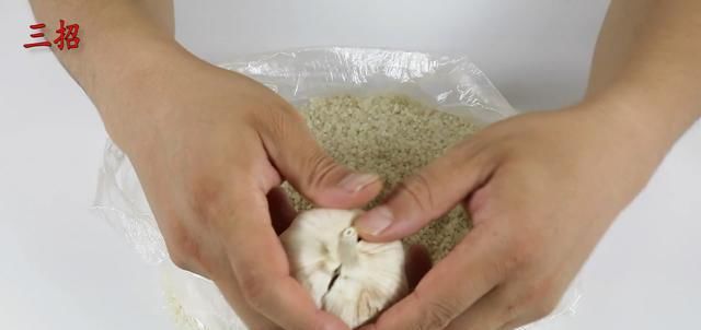 [放在大米里]夏天大米容易生虫？轻松一招，大米再也不生虫了