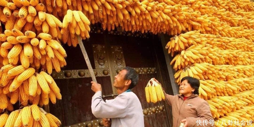 “一九一场雪, 猪狗不吃黑”, 这句农村俗语有道理吗?