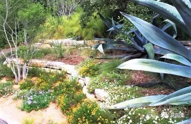 你的花园会呼吸吗？