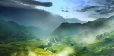 王维一首诗意境清新,生活充满美好,只要细心寻找