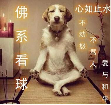 2018世界杯4强预测,当贝市场分析世界杯冠军