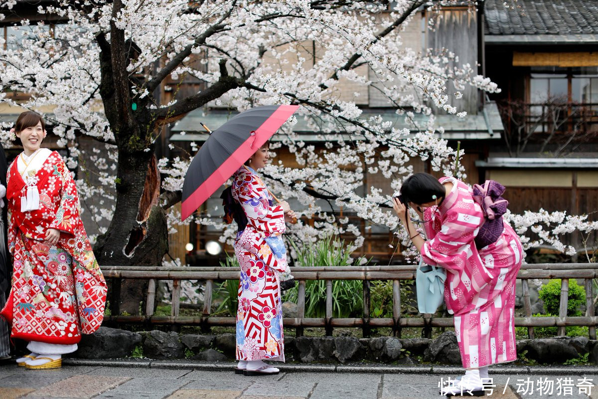 直击游客暴涨的日本,中国人最多,看看当地人对此如何评价