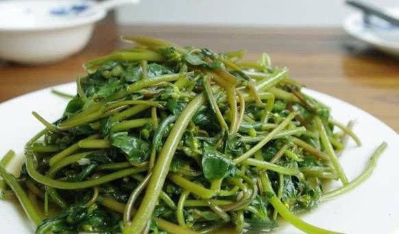  【野菜】马齿苋乡村的野菜，常吃
