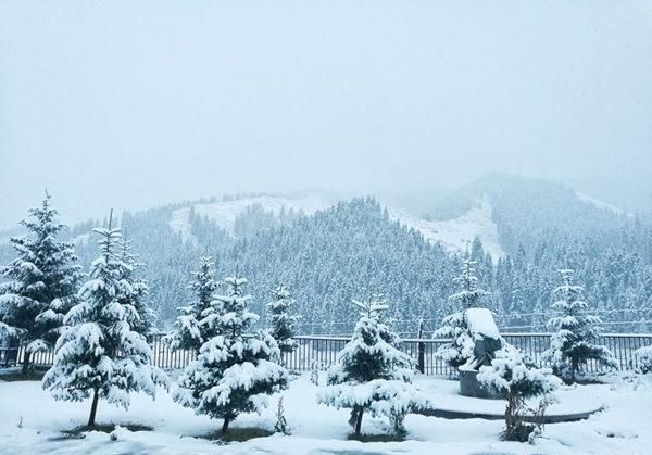 中央气象台29号发布首个暴雪预警，我市预计31号有小雪或零星小雪