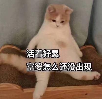 秦奋大手笔抽奖奔驰，差点违法！网友：原来抽奖要说这句话