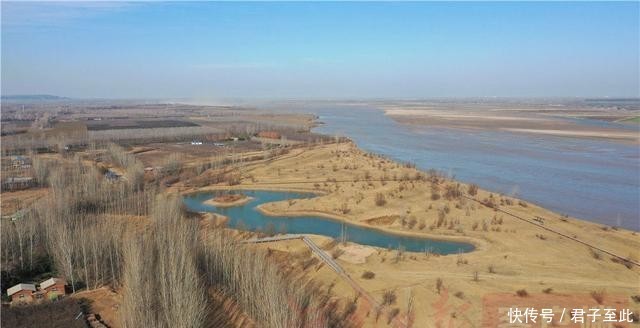  【生态】金视界丨黄河生态廊道：百万新苗初长成 蜿蜒起伏美如画