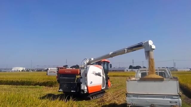 小伙发明“背式”插秧机，一个小时插秧2亩地，成本200元