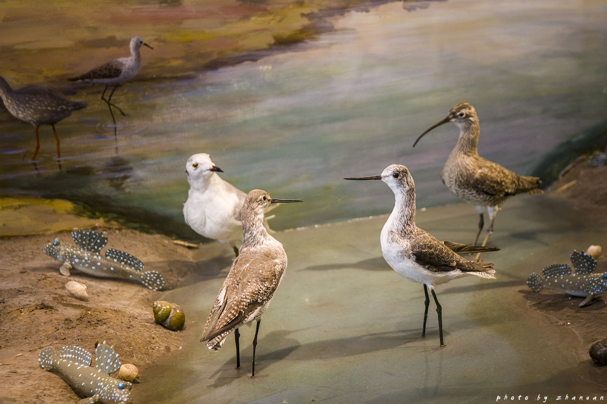 东营丨走过沧海桑田，终是在芦花飞雪的秋日遇见你