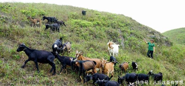 她身价百万，却返乡独住无人山坡，两年后乡亲刮目相看