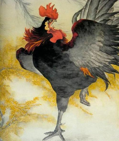 吵是谈情,骂是说爱的3对生肖夫妻,年年打架也