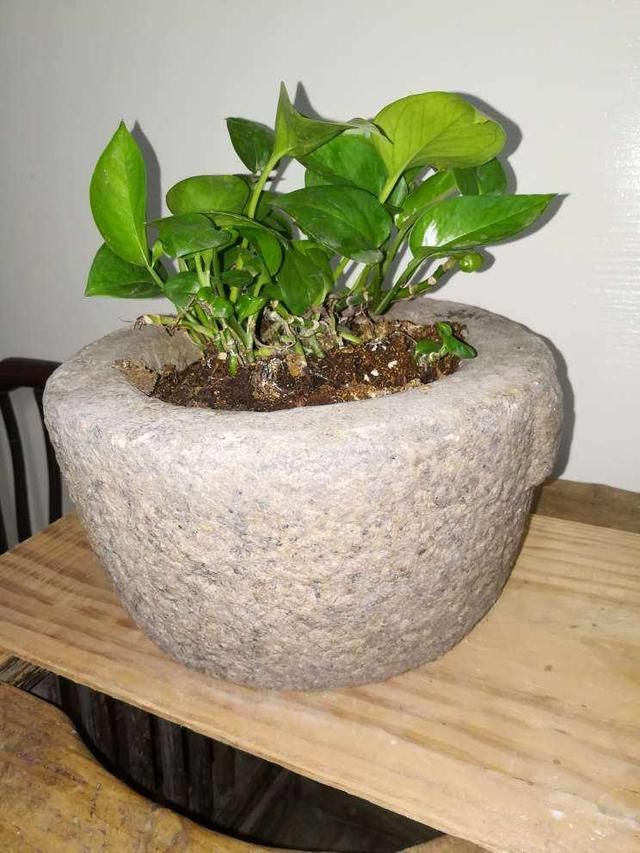 城里人咋想的？专从农村收购老物件，300斤猪槽也要买了放院子里