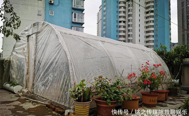  何建华：57岁大叔自家楼顶建“空中菜园”，瓜果蔬菜俱全，年产