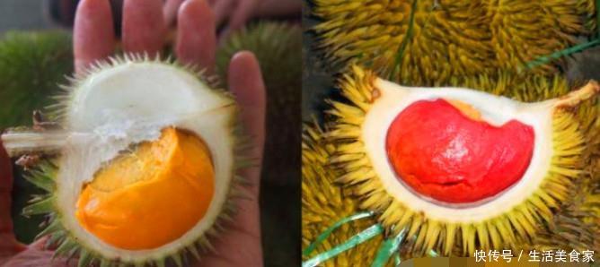 游客吃了这种榴莲不给钱，竟说是假的！农妇哭诉：无知真可怕！