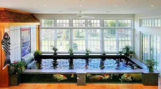  「从没」从没想过，室内鱼池也可以这么惊艳！