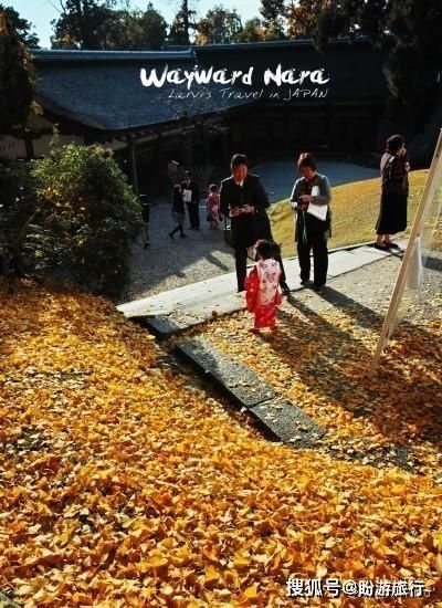  「祈福的灯笼」DAY2日本深度自由行之大阪都门奈良城崎旅行日记