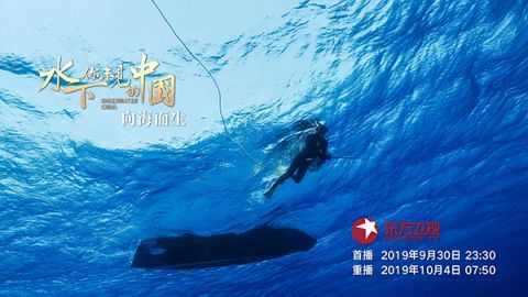  树苗■一棵南海小树苗的“安家”Vlog