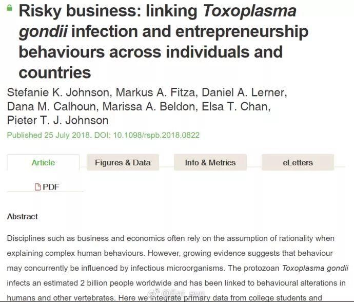 一周不正经文艺小报|如果你养了猫，赚钱之前记得查查弓形虫