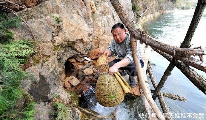 一个不起眼的小山洞，每年随水流出数千斤不知名的鱼
