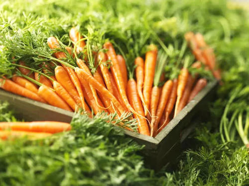 这4种水果大量上市，但会加速胃病癌变！胃不好的人警惕了！