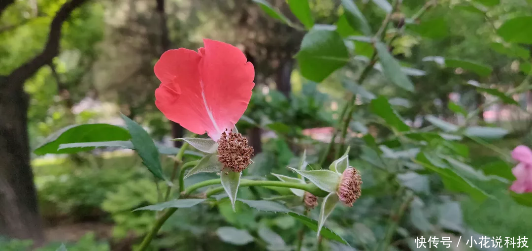 骁龙 845 旗舰,一加 6 续航怎么样?!