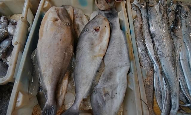 自驾走过广西广东海南，来到福建霞浦三沙，带你看看渔村海鲜价格