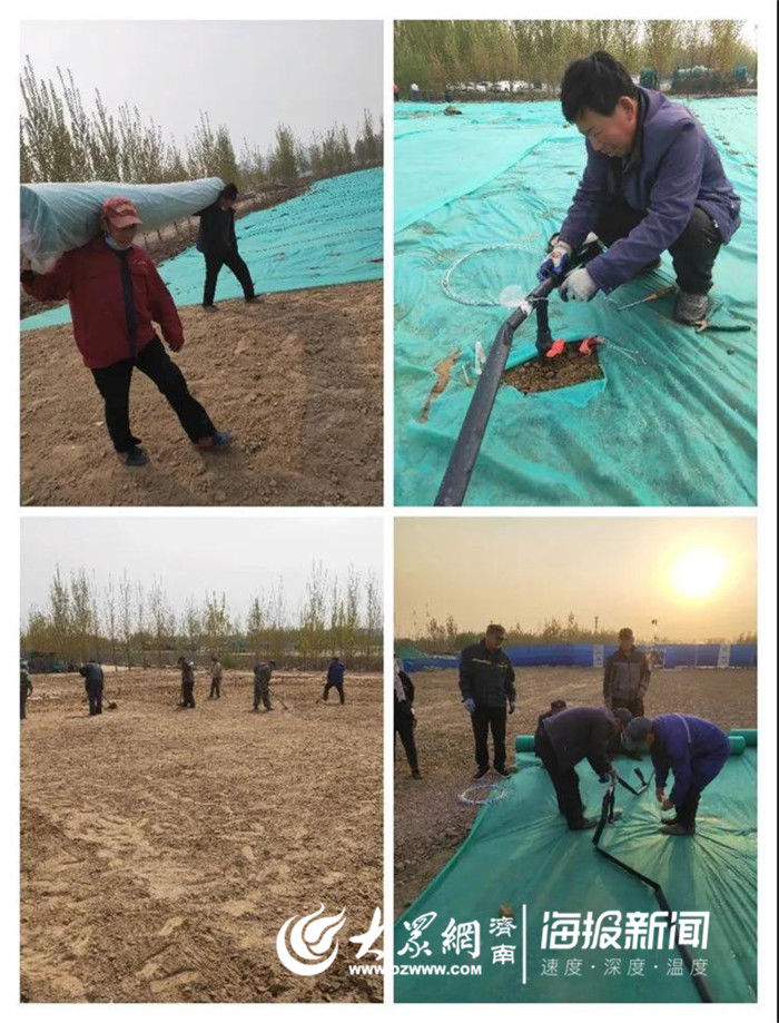  【工作】槐荫区吴家堡街道石佛屯村四十亩荒地完成复耕