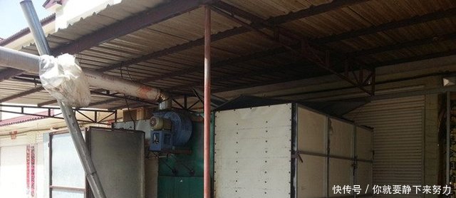 农村有了这个营生，年盈利几百万， 农民再也不要出去打工了