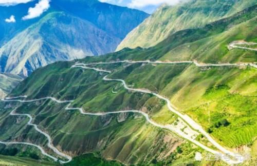 为何川藏线上的“大白菜”不能摘？，导游：除非你想惹事上身！