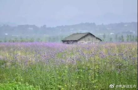 李子柒的山水田园，南岸也为你准备了！