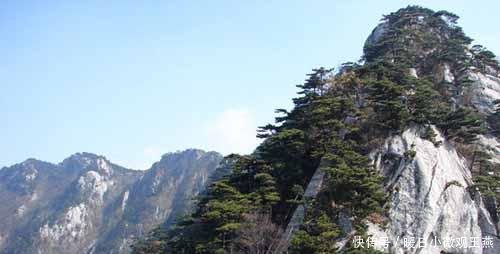 国内唯一零差评的景区, 被誉为华东最后一片原始森林, 可谓天堂!