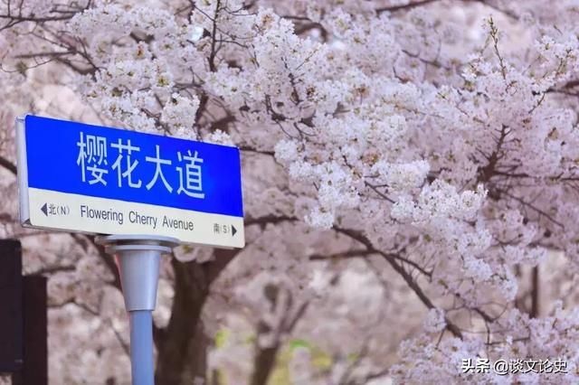 春天最美的十二个地方,你最想去哪个?