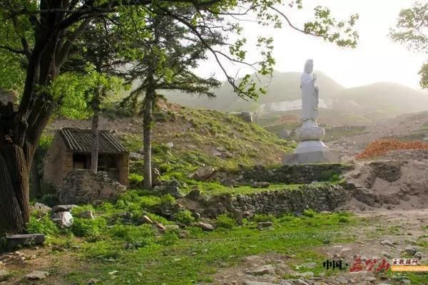 静音寺重建之路，青山依旧，花似昔年