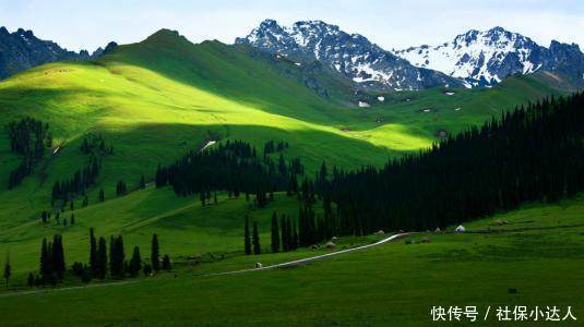  「商业保险」如果不缴纳社保，我们直接去购买商业保险，合适吗