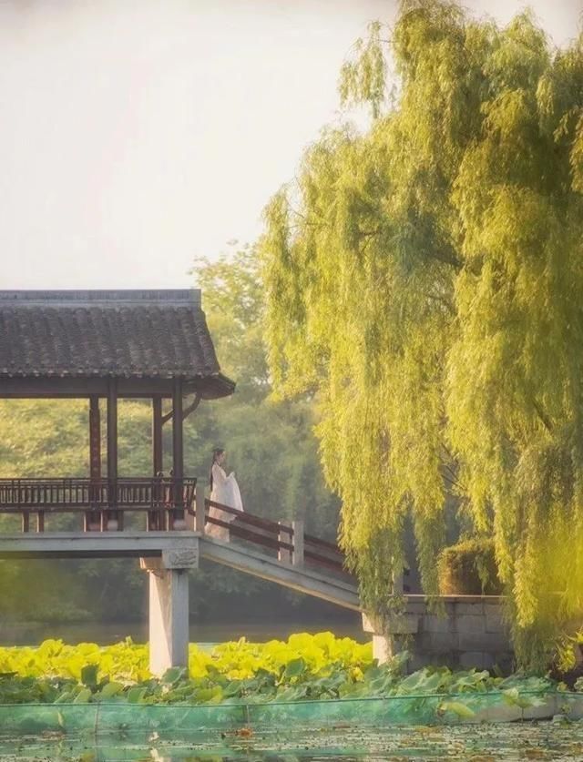 中国“最美高铁路线”来了！